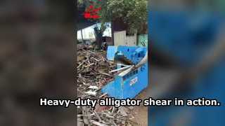 Krachtige alligatorschaar voor het snijden van schroot met hoog rendement.