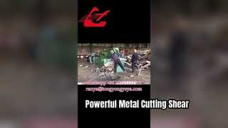 Q43-2500 Krokodillenschaar